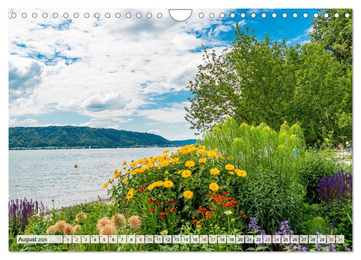 Bild: 9783435071982 | Traumhafter Bodensee (Wandkalender 2025 DIN A4 quer), CALVENDO...