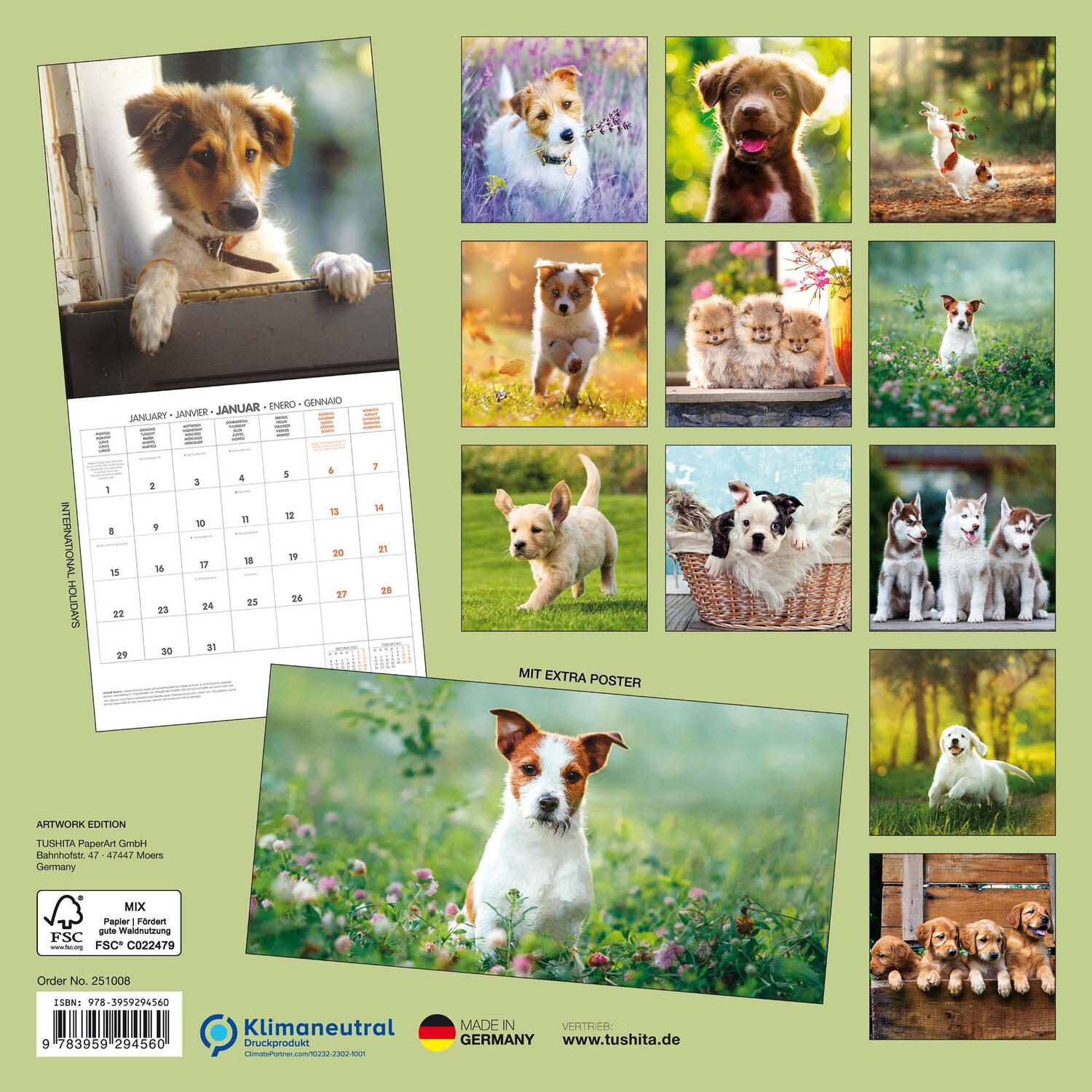 Bild: 9783959294560 | Puppy Dogs/Hundewelpen 2025 | Kalender 2025 | Kalender | 28 S. | 2025