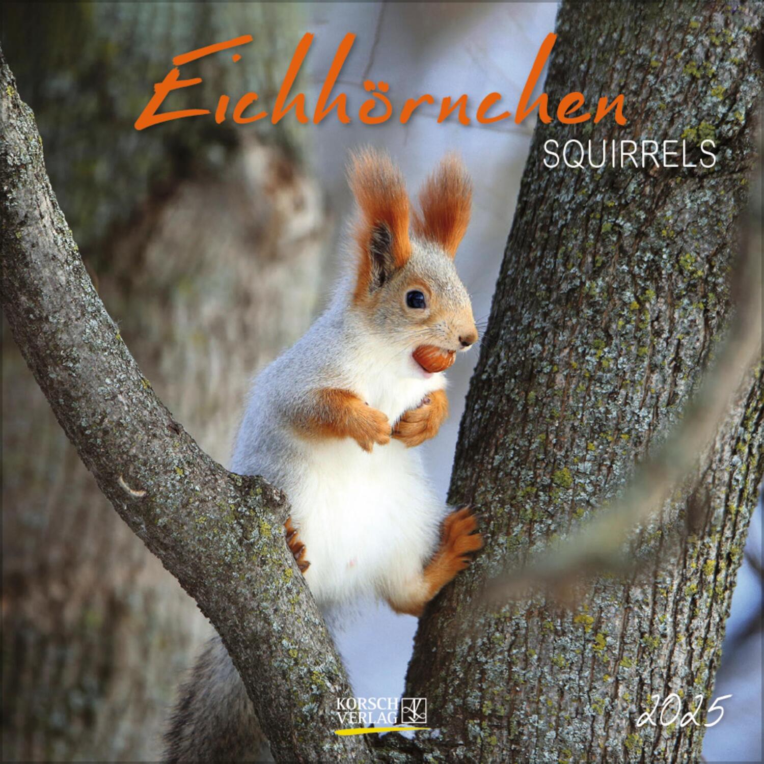 Cover: 9783731875512 | Eichhörnchen 2025 | Verlag Korsch | Kalender | 13 S. | Deutsch | 2025