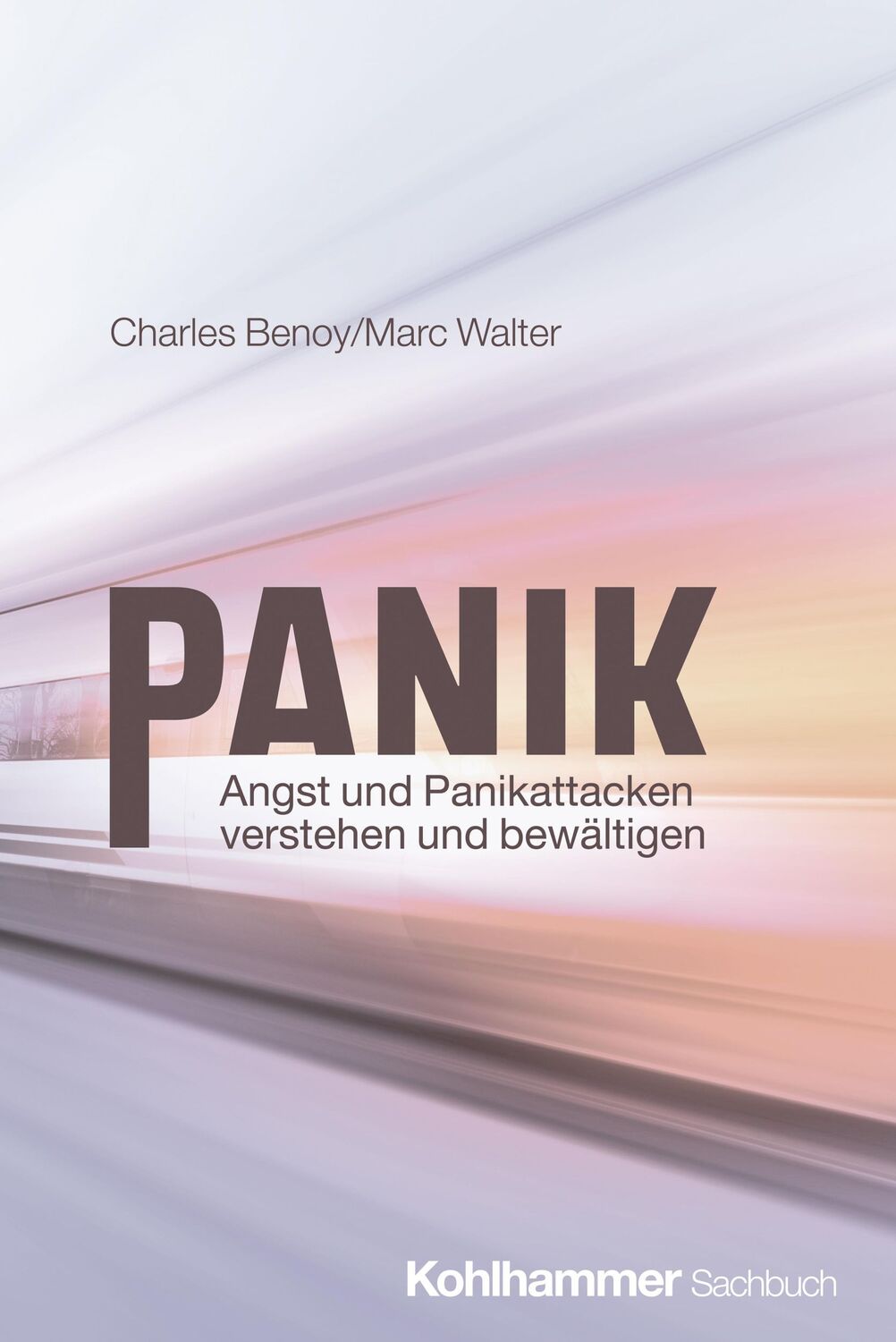 Cover: 9783170427501 | Panik | Angst und Panikattacken verstehen und bewältigen | Taschenbuch