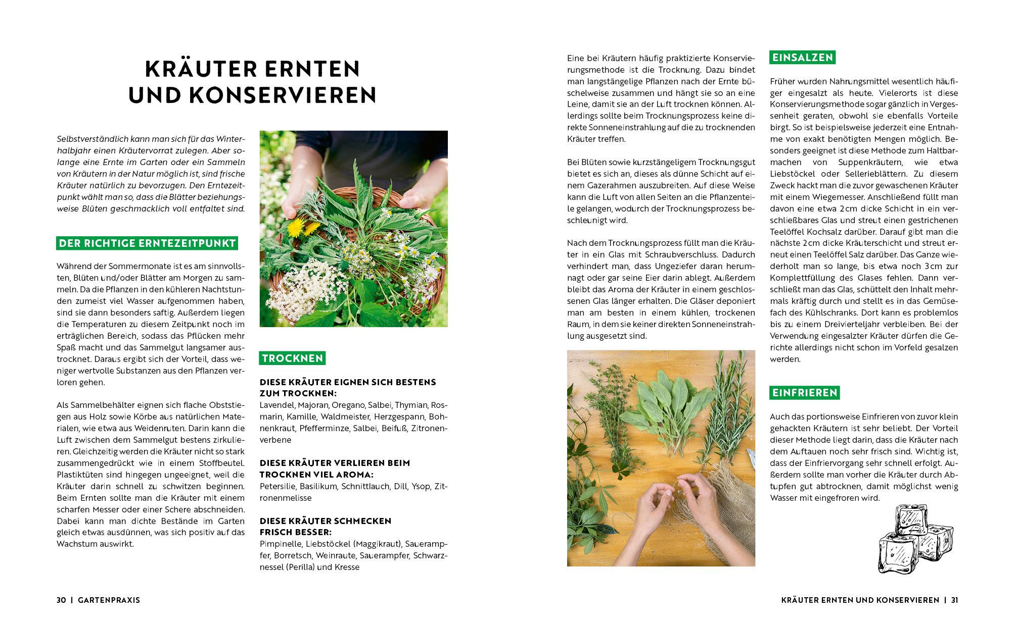 Bild: 9783745913330 | Gartenmomente: Kräuter im Garten | Edition Michael Fischer | Buch