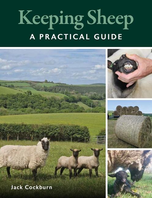 Cover: 9780719842214 | Keeping Sheep | Jack Cockburn | Taschenbuch | Kartoniert / Broschiert