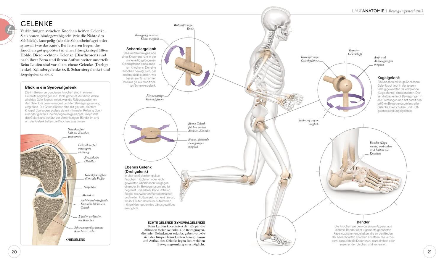 Bild: 9783831040155 | Lauftraining - Die Anatomie verstehen | Chris Napier | Taschenbuch
