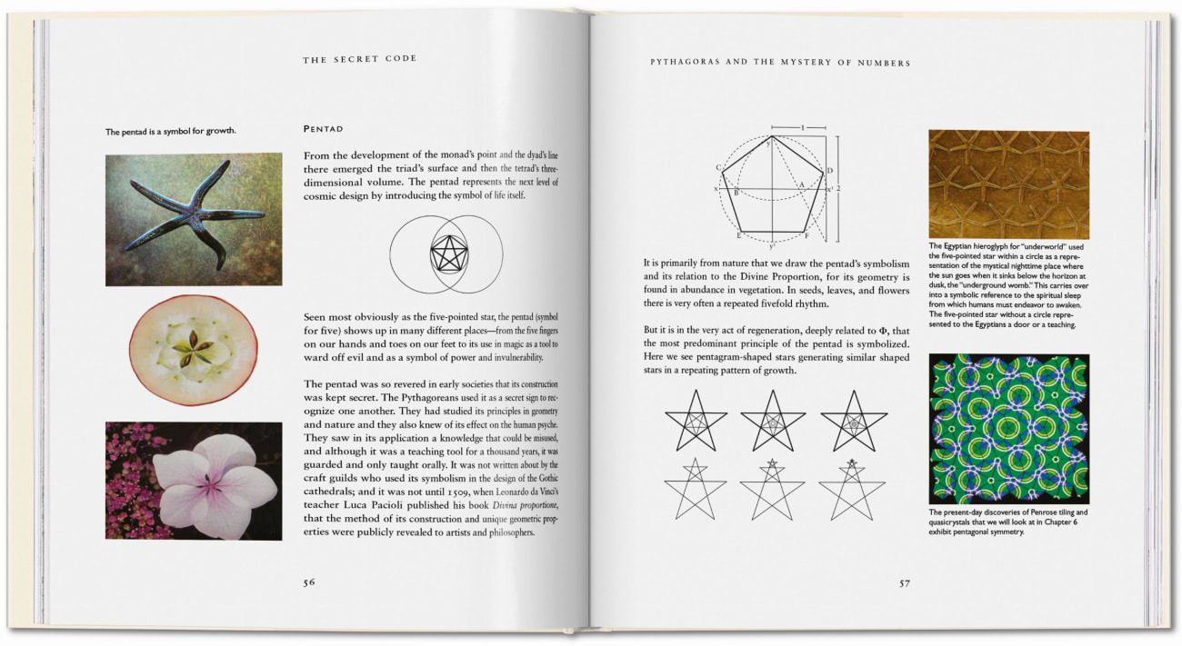 Bild: 9783836507103 | Le Code Secret | Priya Hemenway | Buch | Französisch | 2024 | TASCHEN