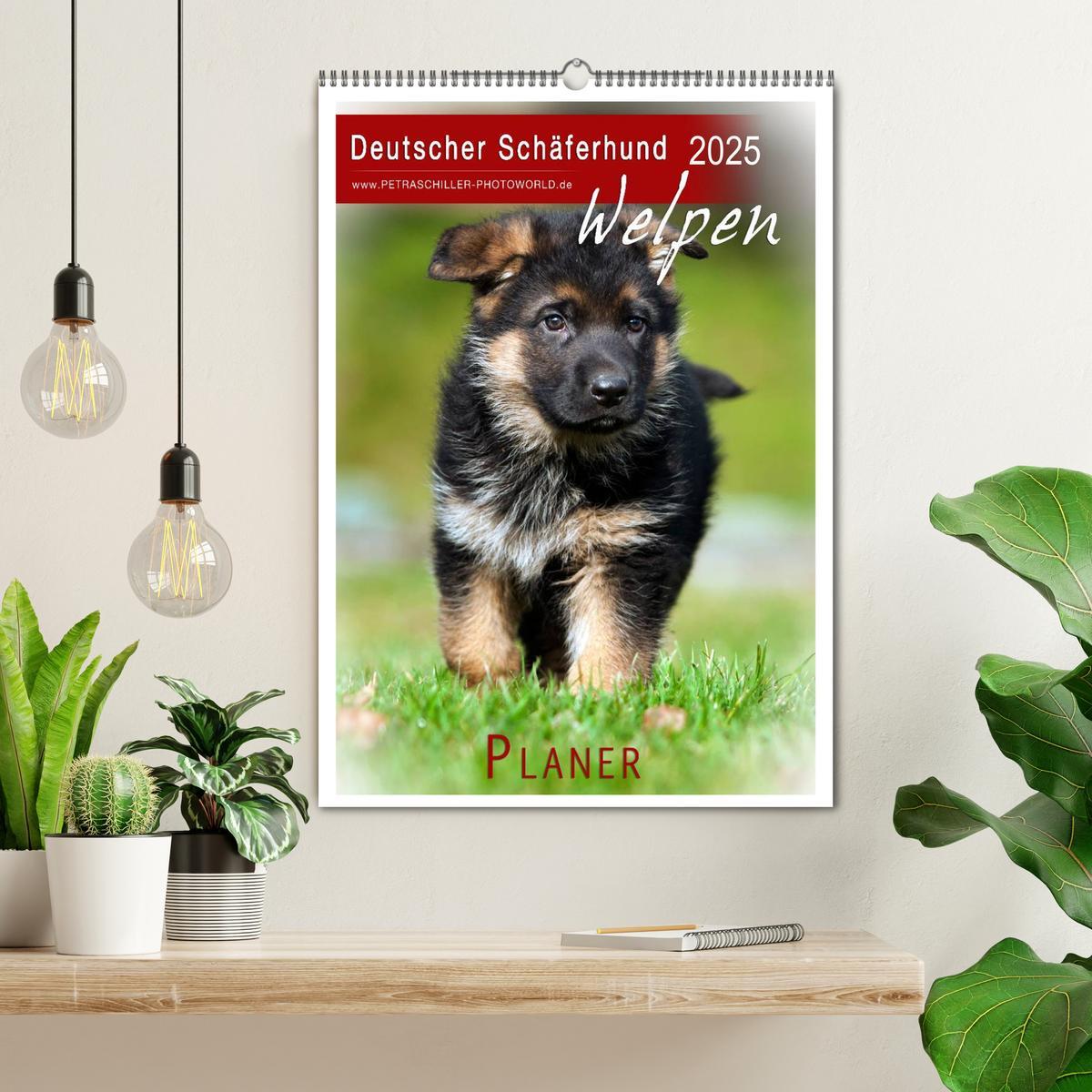 Bild: 9783457066225 | Deutscher Schäferhund - Welpen, Planer (Wandkalender 2025 DIN A2...