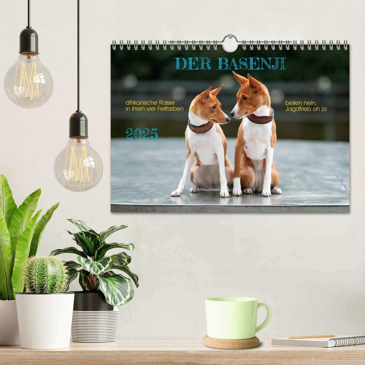 Bild: 9783457195598 | Der Basenji (Wandkalender 2025 DIN A4 quer), CALVENDO Monatskalender