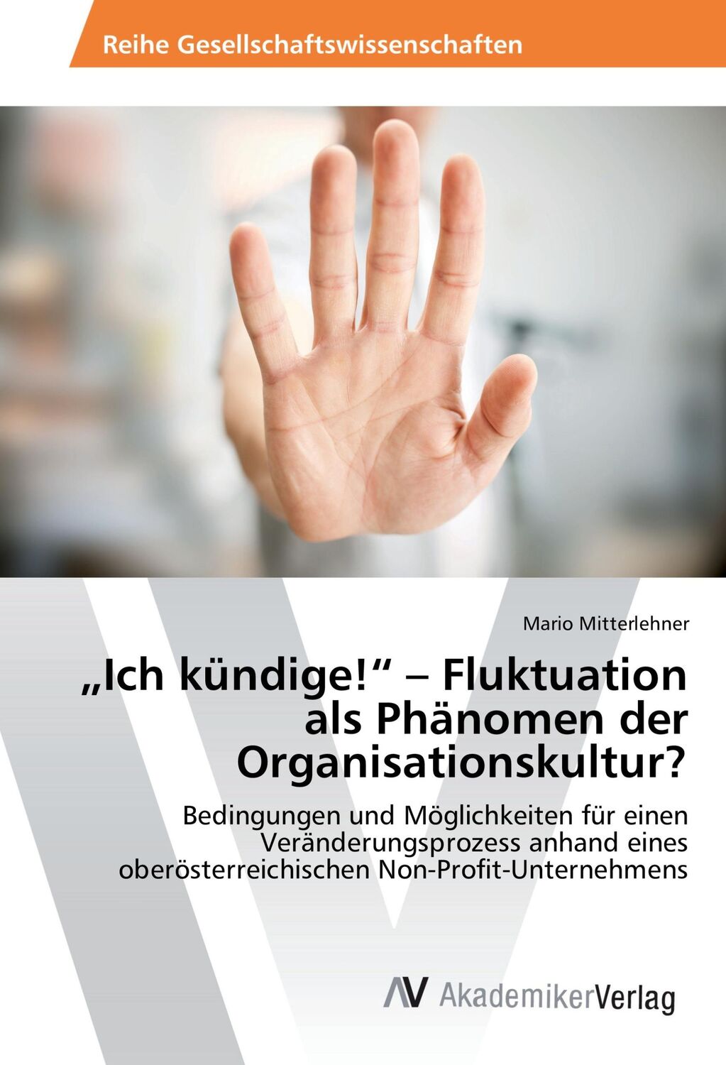 Cover: 9783639871838 | ¿Ich kündige!¿ ¿ Fluktuation als Phänomen der Organisationskultur?