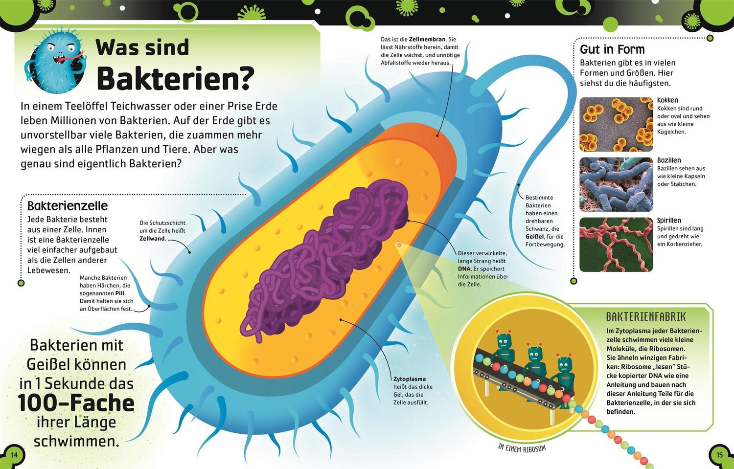 Bild: 9783831047192 | Superstark &amp; Superschlau. Bakterien und Viren | Steve Mould | Buch