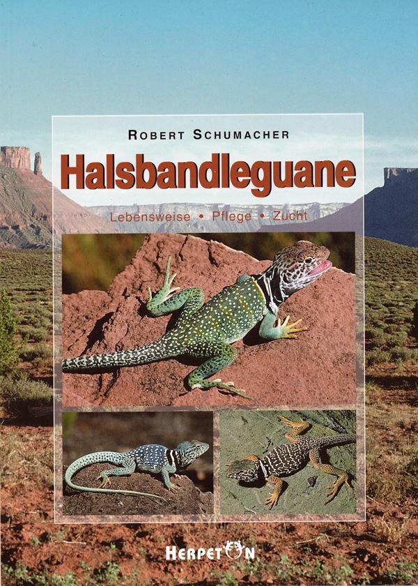 Cover: 9783936180008 | Halsbandleguane | Lebensweise - Pflege - Zucht | Robert Schumacher