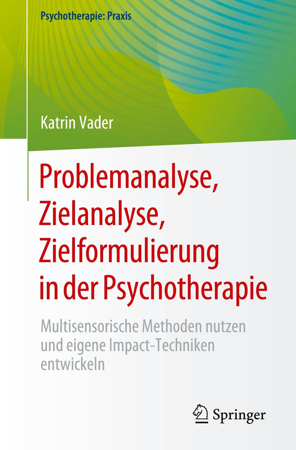 Cover: 9783662680834 | Problemanalyse, Zielanalyse, Zielformulierung in der Psychotherapie