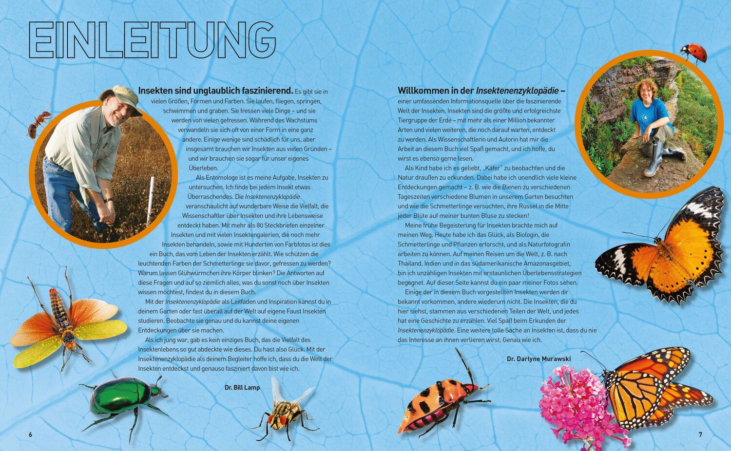 Bild: 9788863125436 | Insekten-Enzyklopädie: Die Wunderwelt von Käfer & Co. | Buch | Deutsch