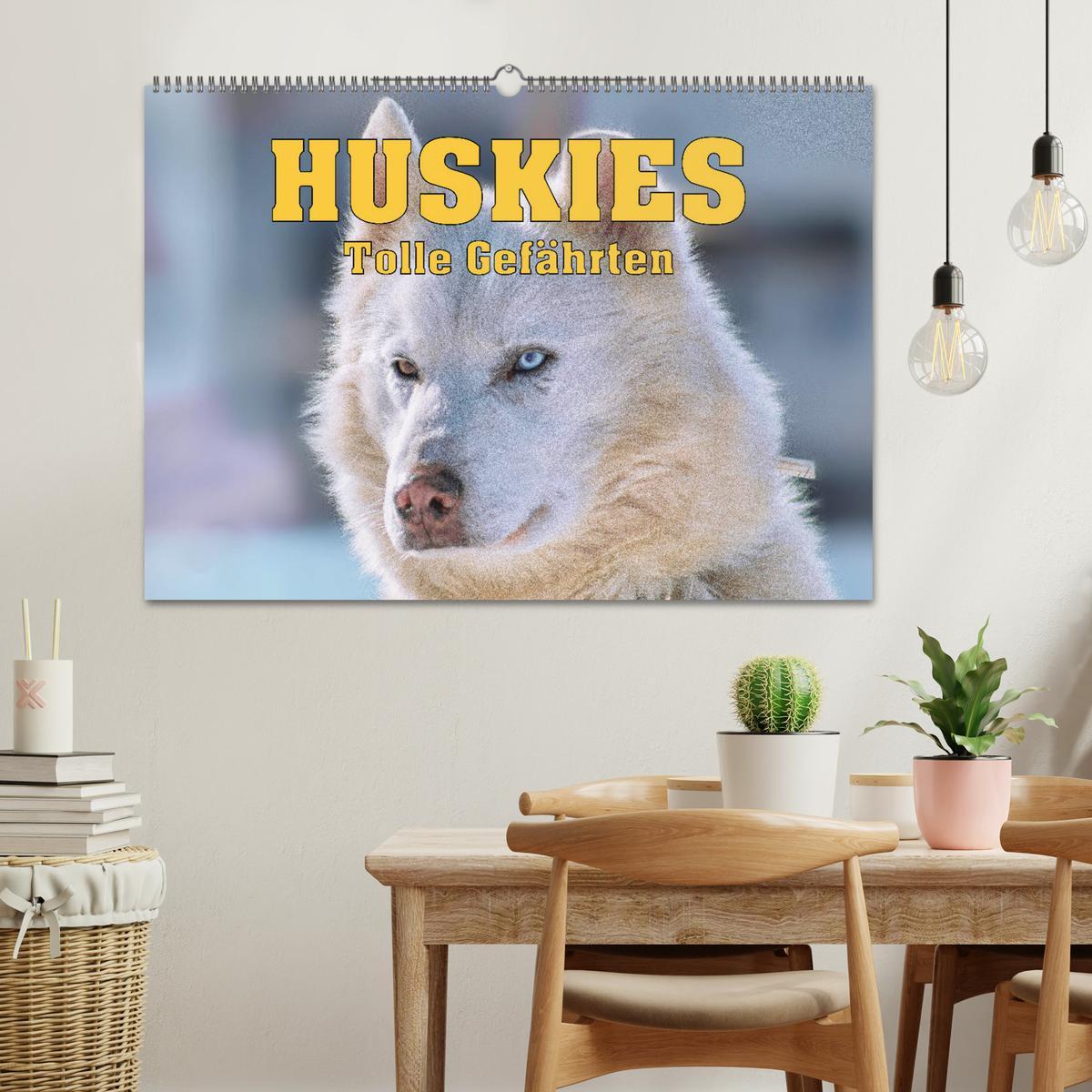 Bild: 9783435143856 | Huskies - Tolle Gefährten (Wandkalender 2025 DIN A2 quer), CALVENDO...