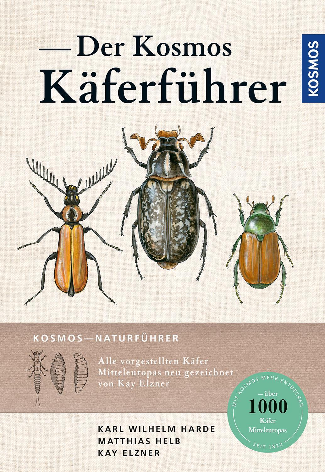 Cover: 9783440167595 | Der Kosmos Käferführer | Die Käfer Mitteleuropas | Helb (u. a.) | Buch