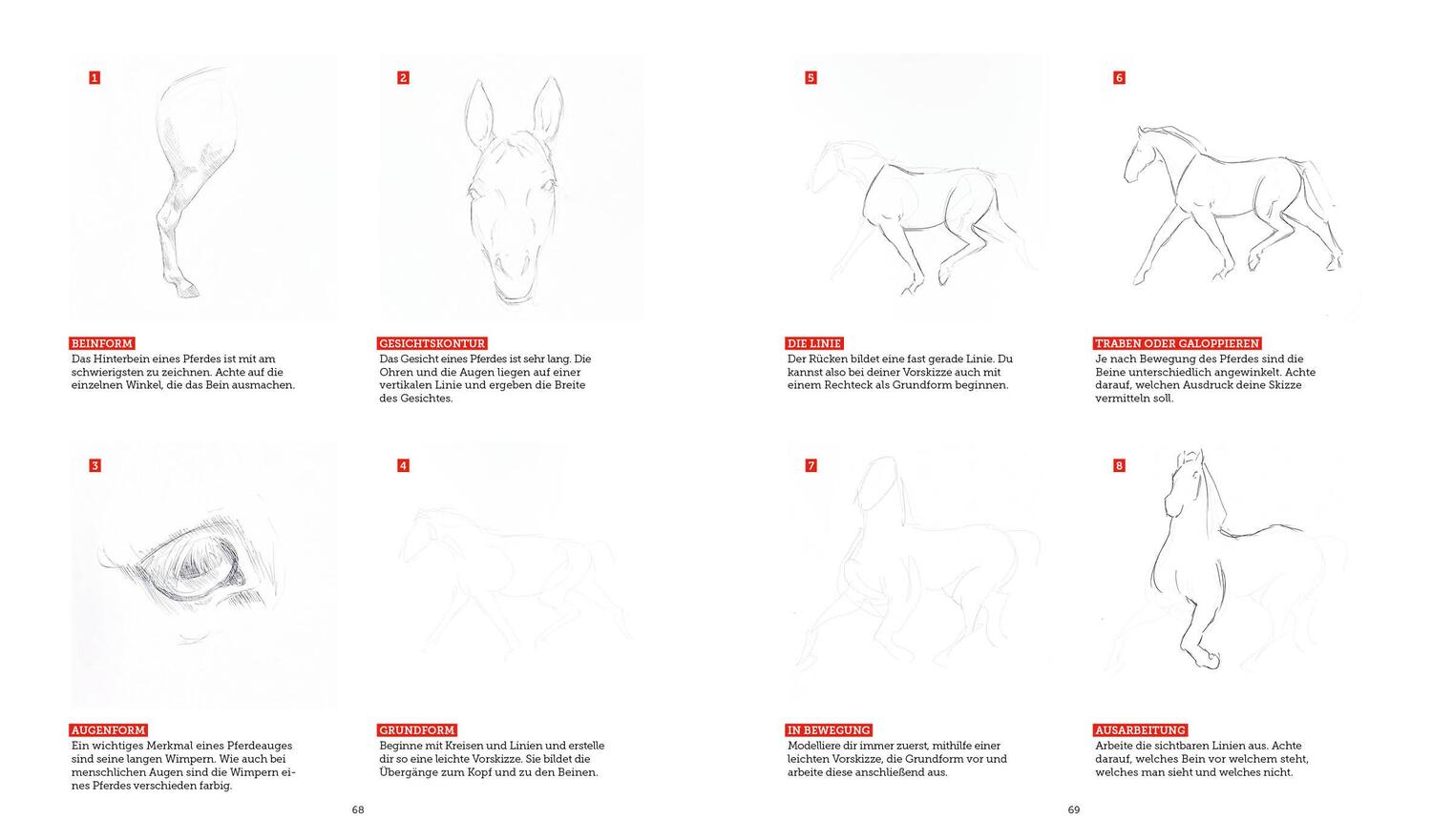 Bild: 9783745919585 | Tiere zeichnen - Das XXL-Starter-Set: Zwei Bücher im Bundle | Buch