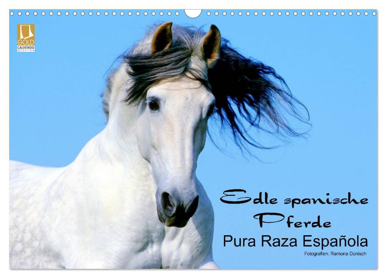 Cover: 9783675478497 | Edle spanische Pferde - Pura Raza Espanola (Wandkalender 2024 DIN...