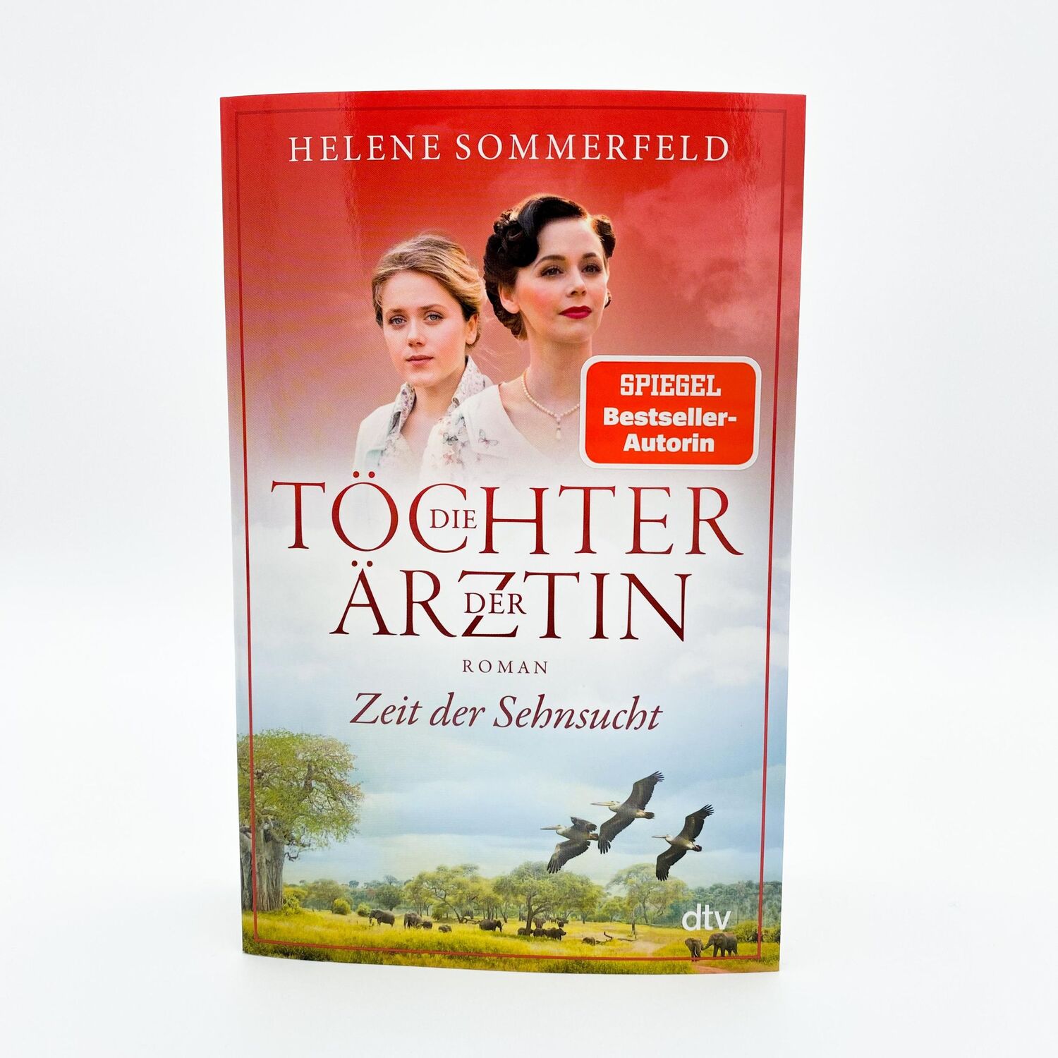 Bild: 9783423220262 | Die Töchter der Ärztin | Helene Sommerfeld | Taschenbuch | 512 S.