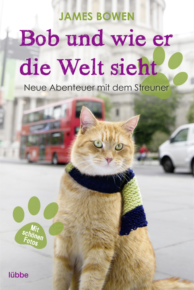 Cover: 9783404608027 | Bob und wie er die Welt sieht | Neue Abenteuer mit dem Streuner | Buch