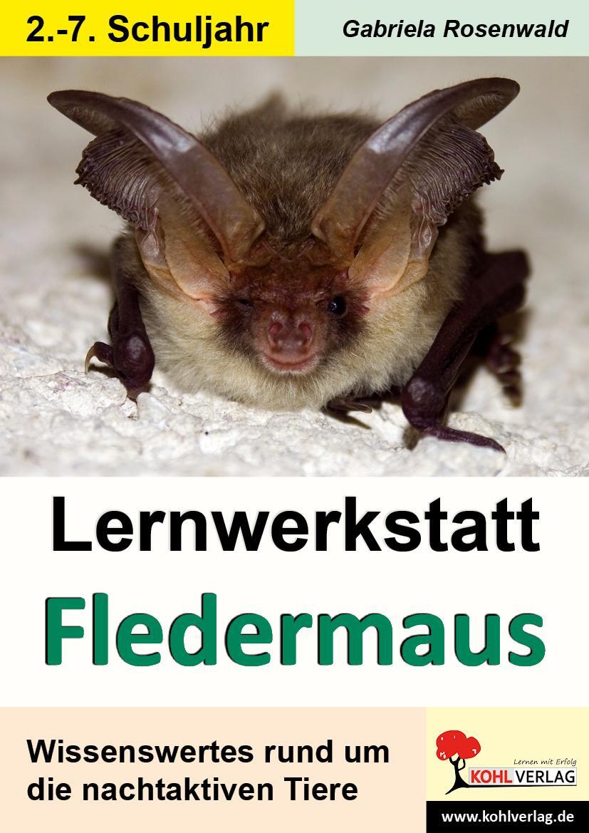 Cover: 9783866324565 | Lernwerkstatt Die Fledermaus | Gabriela Rosenwald | Taschenbuch | 2012