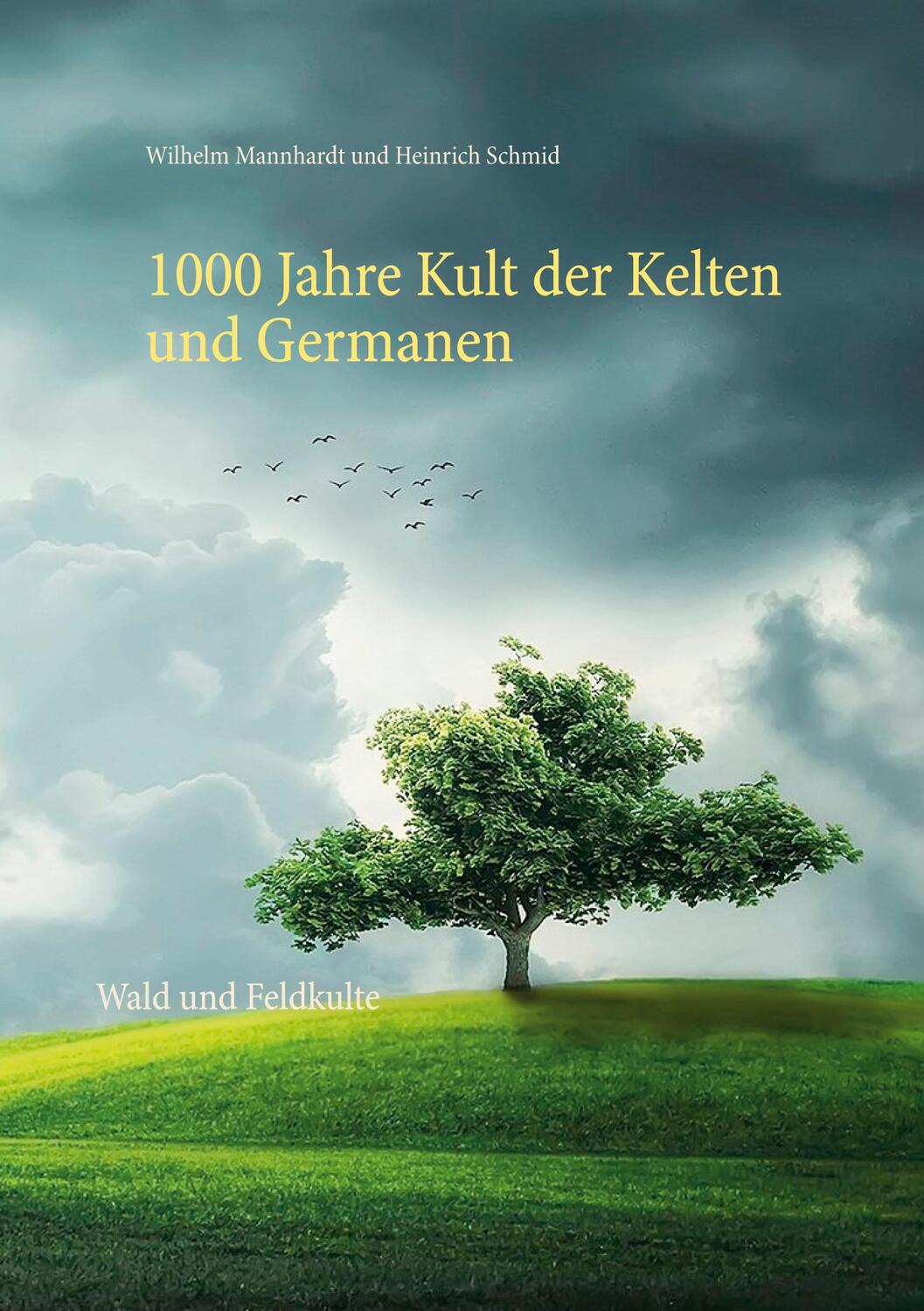 Cover: 9783751970679 | 1000 Jahre Kult der Kelten und Germanen | Wald und Feldkulte | Buch