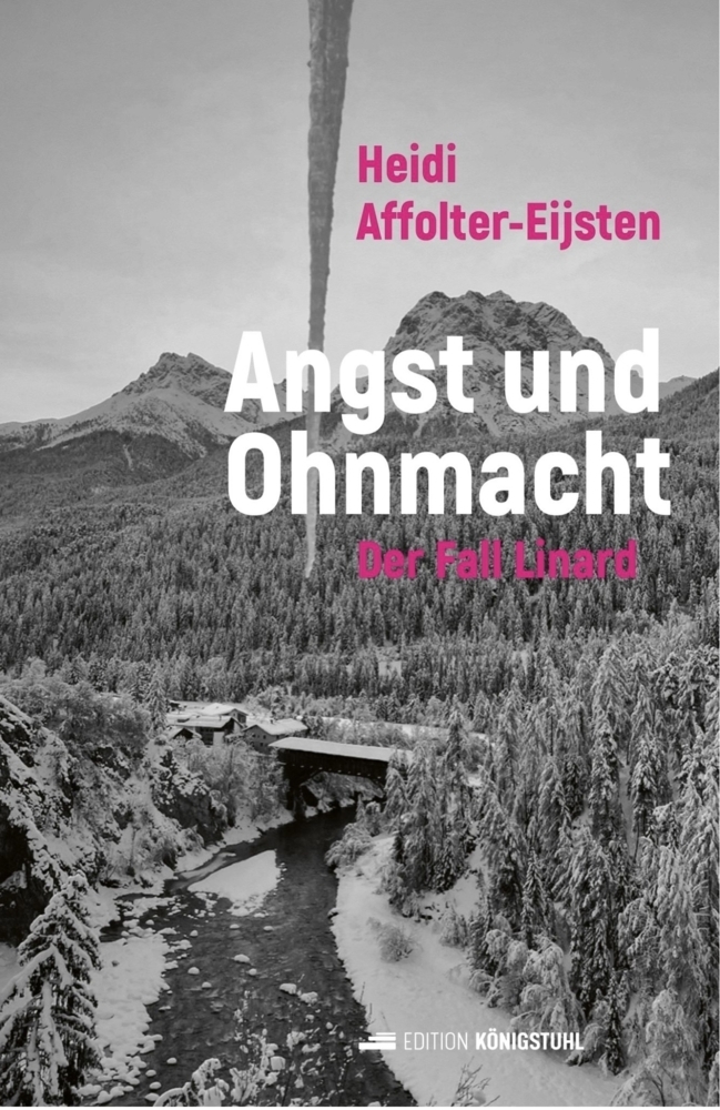 Cover: 9783907339039 | Angst und Ohnmacht | Der Fall Linard | Heidi Affolter-Eijsten | Buch