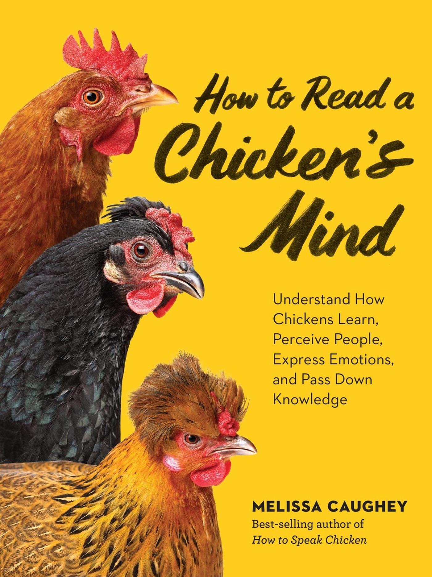 Cover: 9781635868685 | How to Read a Chicken's Mind | Melissa Caughey | Taschenbuch | 2025