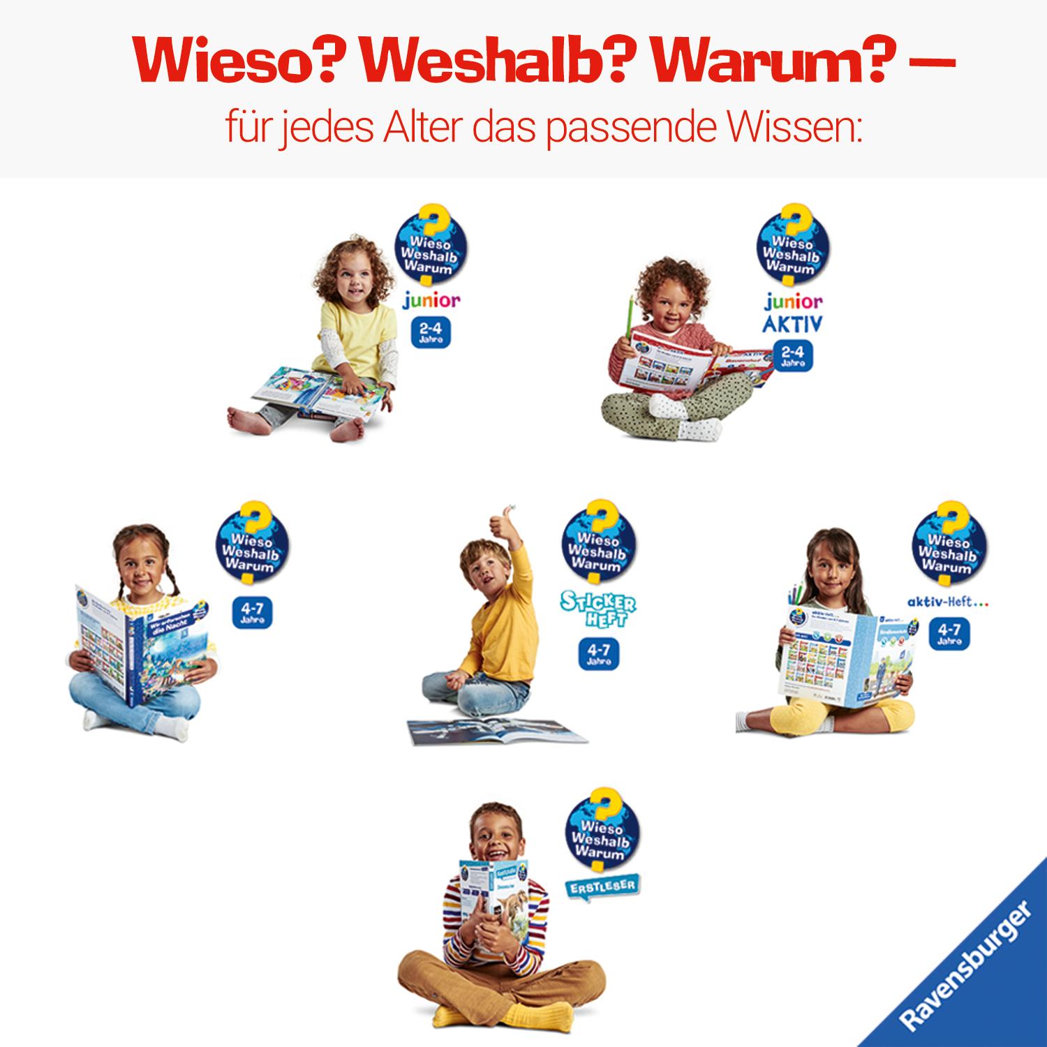 Bild: 9783473600281 | Wieso? Weshalb? Warum? Stickerheft: Fahrzeuge auf der Baustelle | Buch