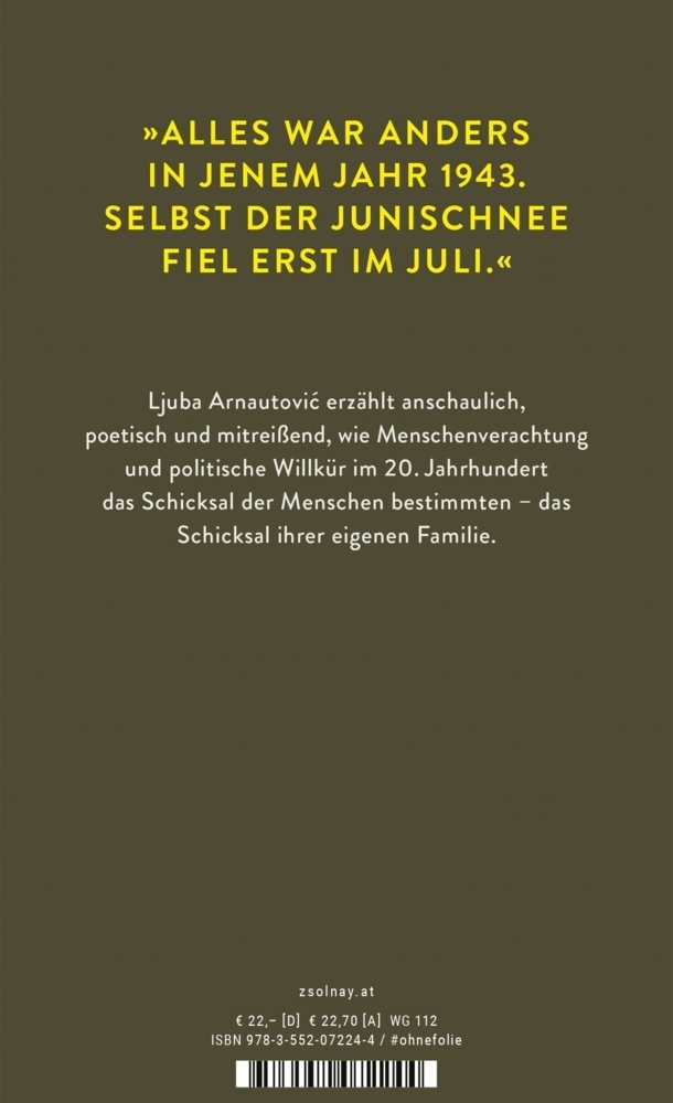 Bild: 9783552072244 | Junischnee | Roman | Ljuba Arnautovic | Buch | 192 S. | Deutsch | 2021