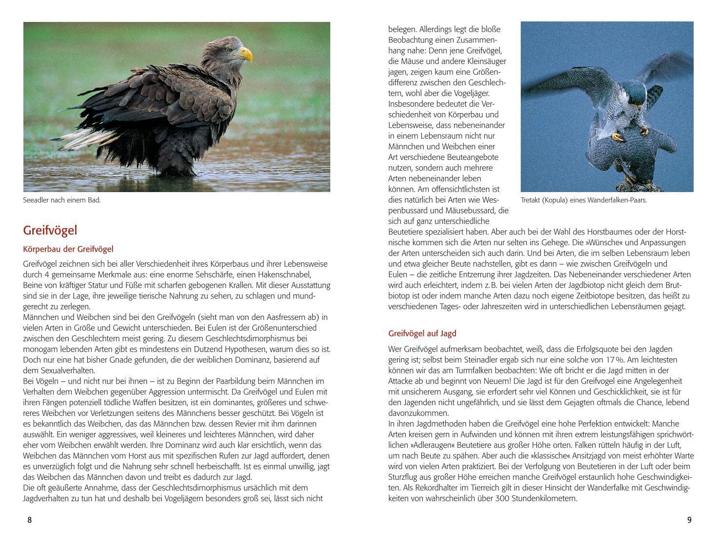 Bild: 9783835418981 | BLV Greifvögel &amp; Eulen | Alle Arten Mitteleuropas | Walther Thiede