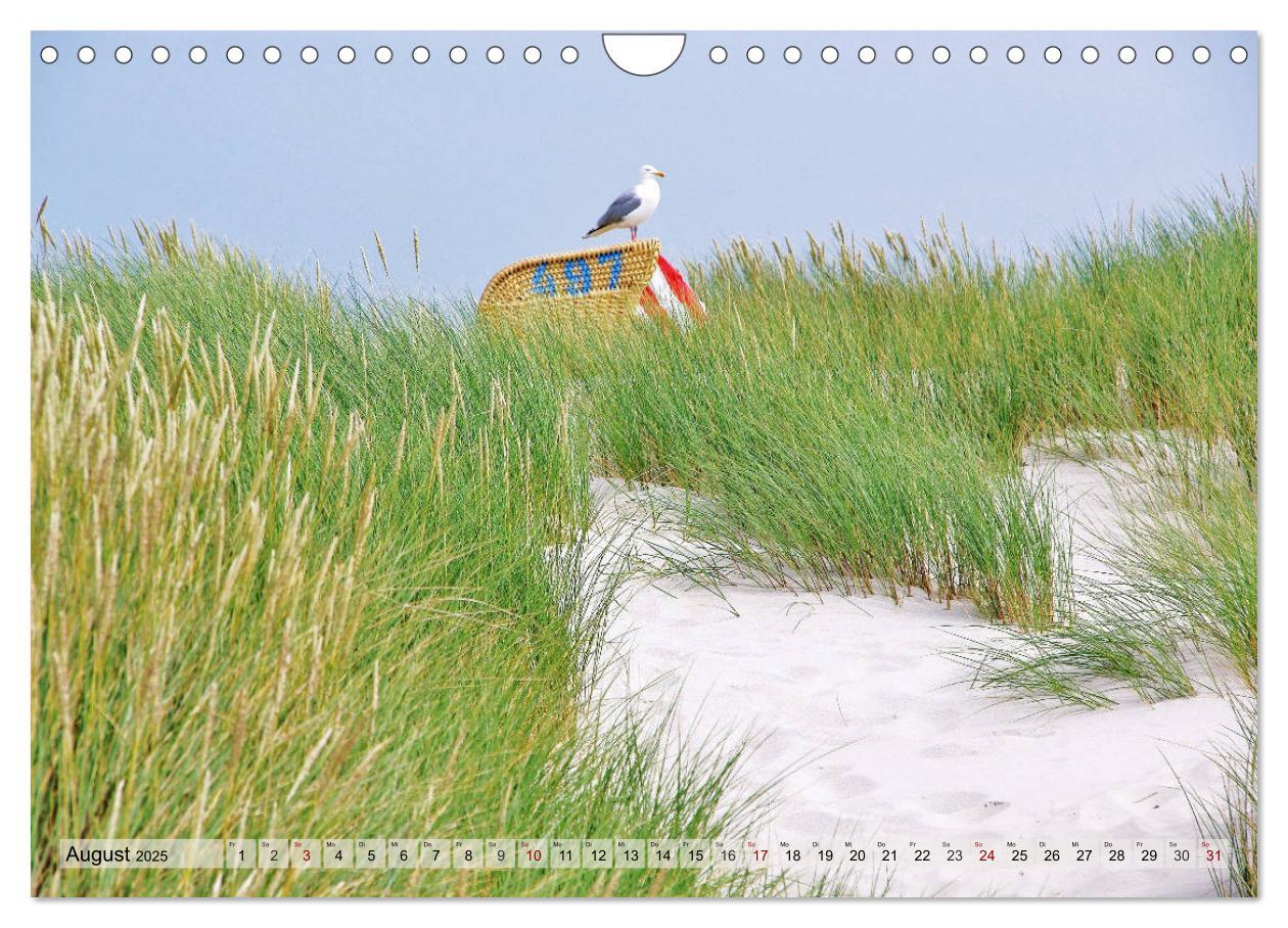 Bild: 9783435418510 | Typisch Amrum! (Wandkalender 2025 DIN A4 quer), CALVENDO...