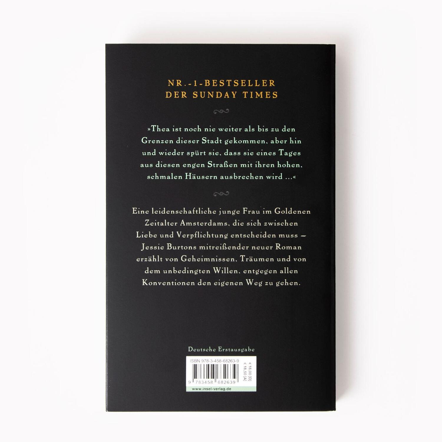 Bild: 9783458682639 | Das Haus an der Herengracht | Jessie Burton | Taschenbuch | 400 S.