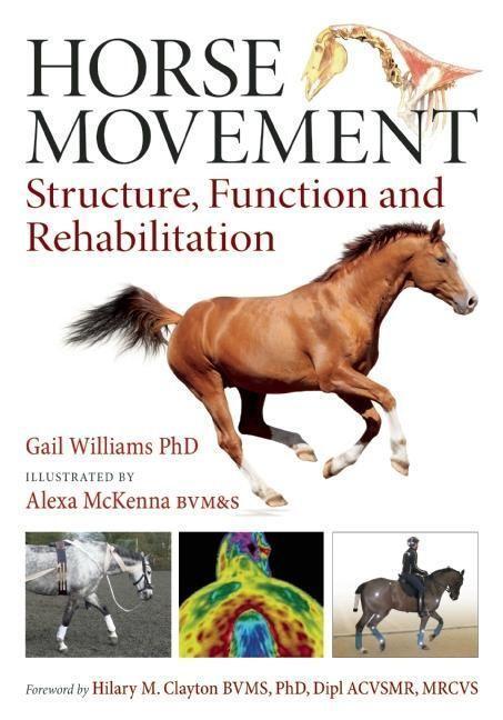 Cover: 9781908809117 | Horse Movement | Structure, Function and Rehabilitation | Williams