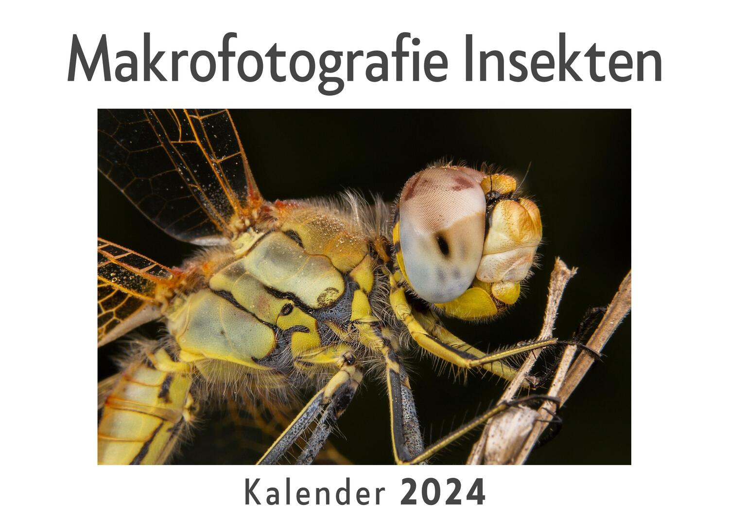 Cover: 9783750554207 | Makrofotografie Insekten (Wandkalender 2024, Kalender DIN A4 quer,...