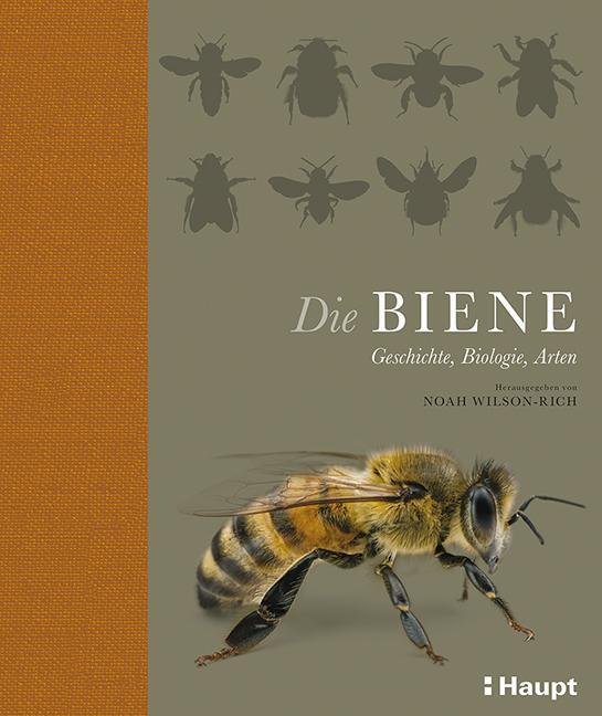 Cover: 9783258078694 | Die Biene | Geschichte, Biologie, Arten | Noah Wilson-Rich | Buch