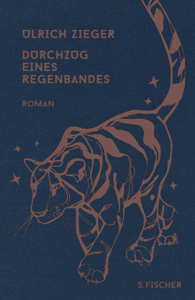 Cover: 9783100022677 | Durchzug eines Regenbandes | Roman | Ulrich Zieger | Buch | 688 S.