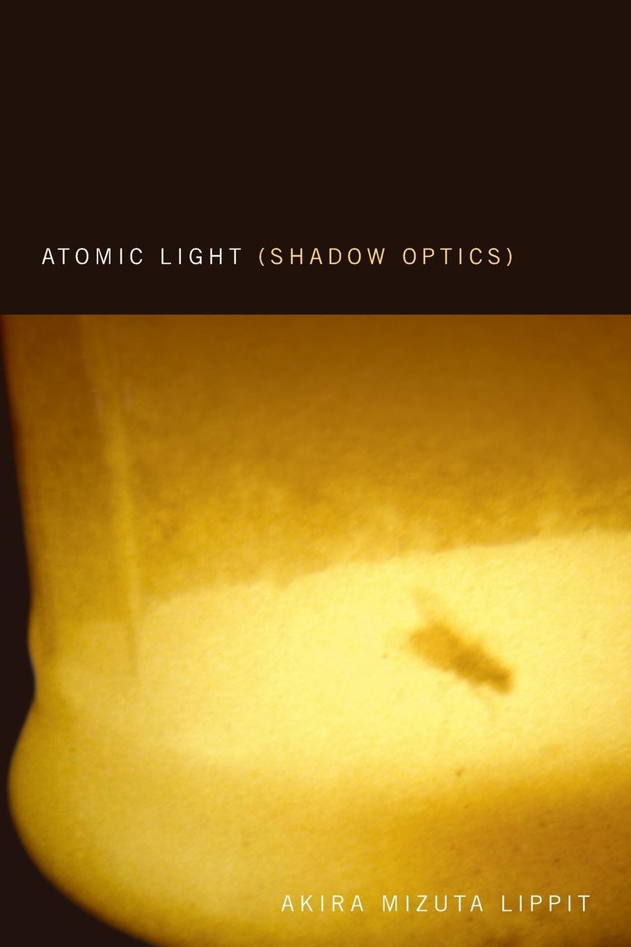 Cover: 9780816646111 | Atomic Light (Shadow Optics) | Akira Mizuta Lippit | Taschenbuch