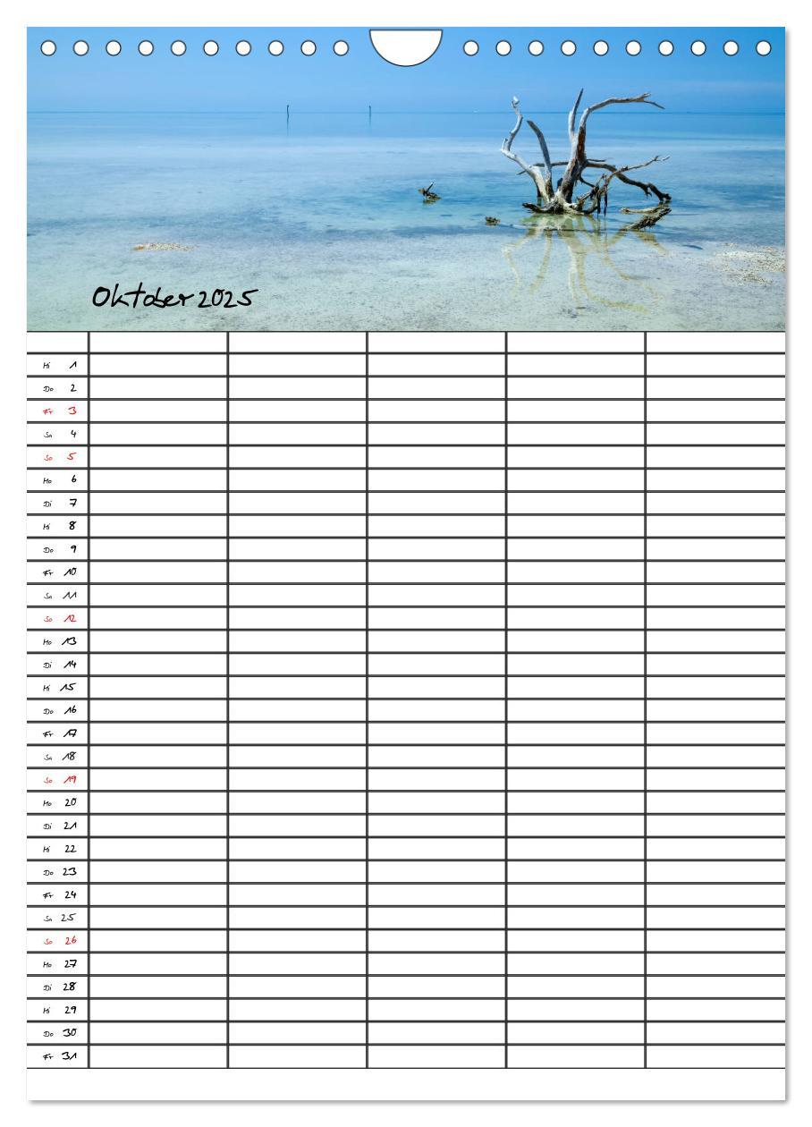 Bild: 9783457027301 | Idyllisches Florida / Familienplaner (Wandkalender 2025 DIN A4...