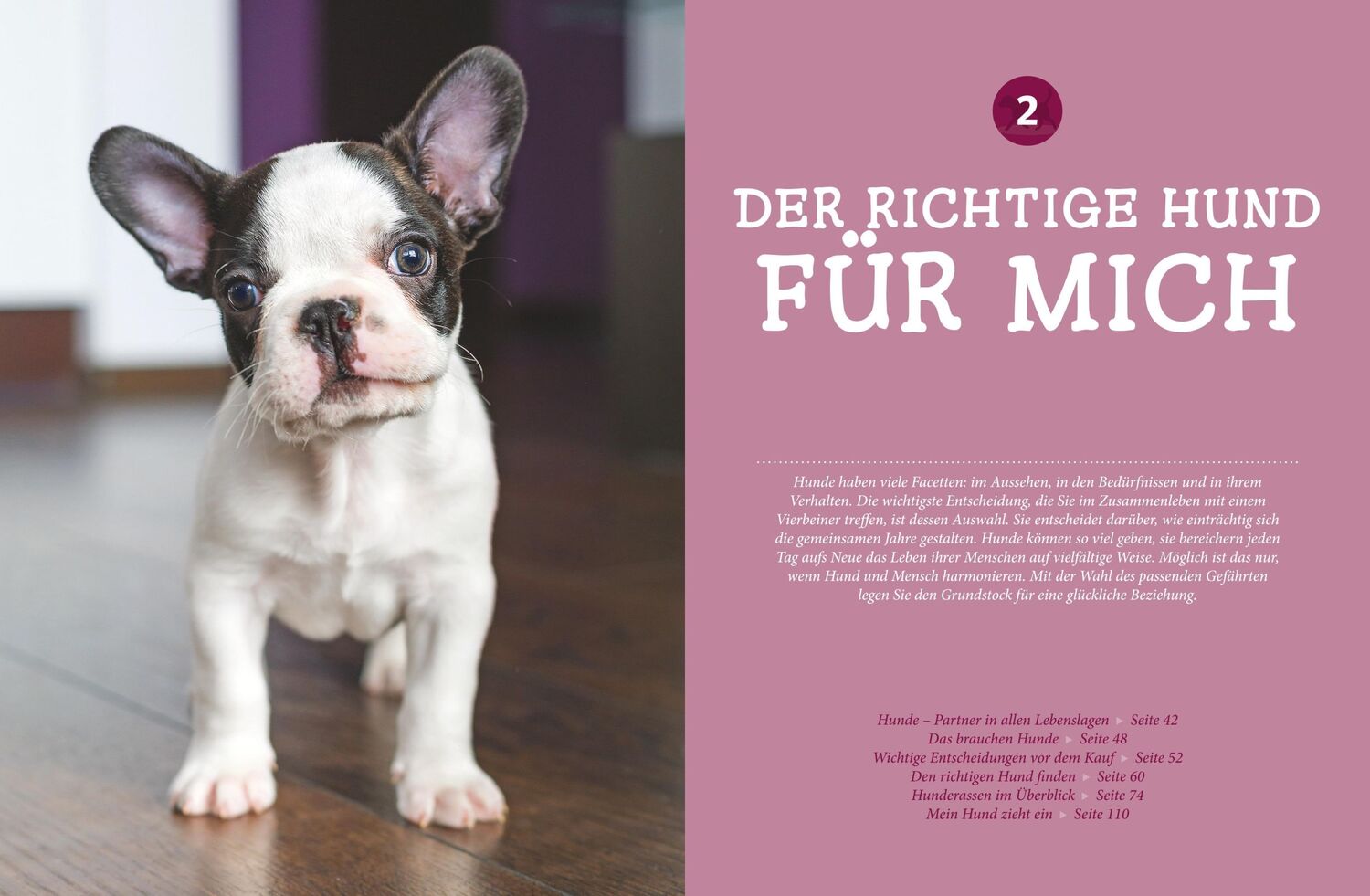 Bild: 9783833828744 | Praxishandbuch Hunde | Heike Schmidt-Röger | Buch | 288 S. | Deutsch