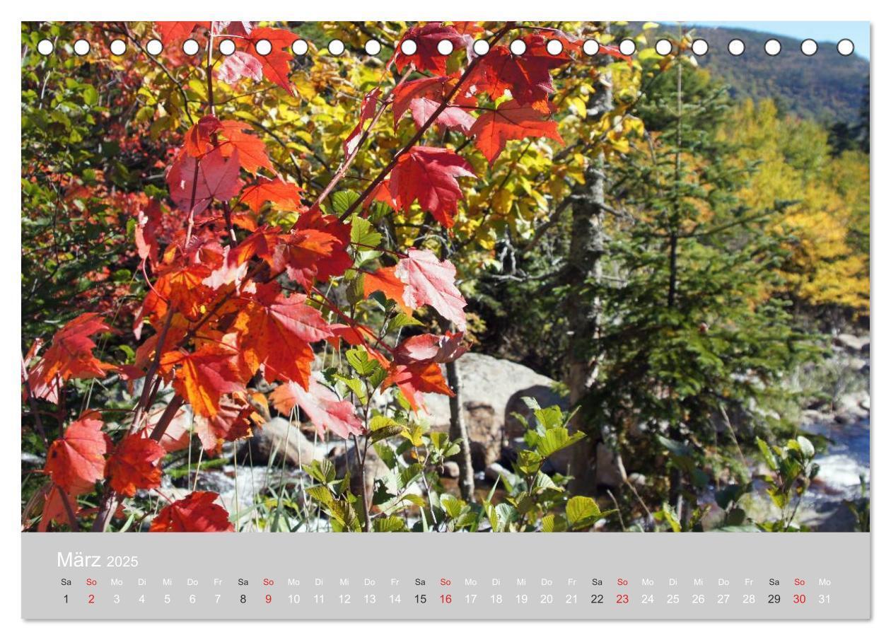 Bild: 9783435682812 | Indian Summer in New England (Tischkalender 2025 DIN A5 quer),...