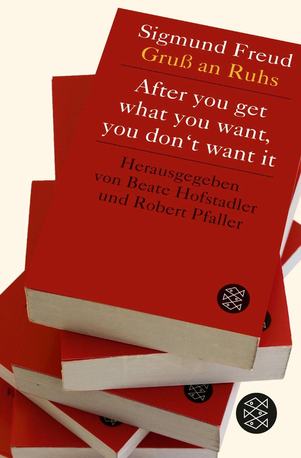 Cover: 9783596035915 | After you get what you want, you don't want it | Taschenbuch | 360 S.