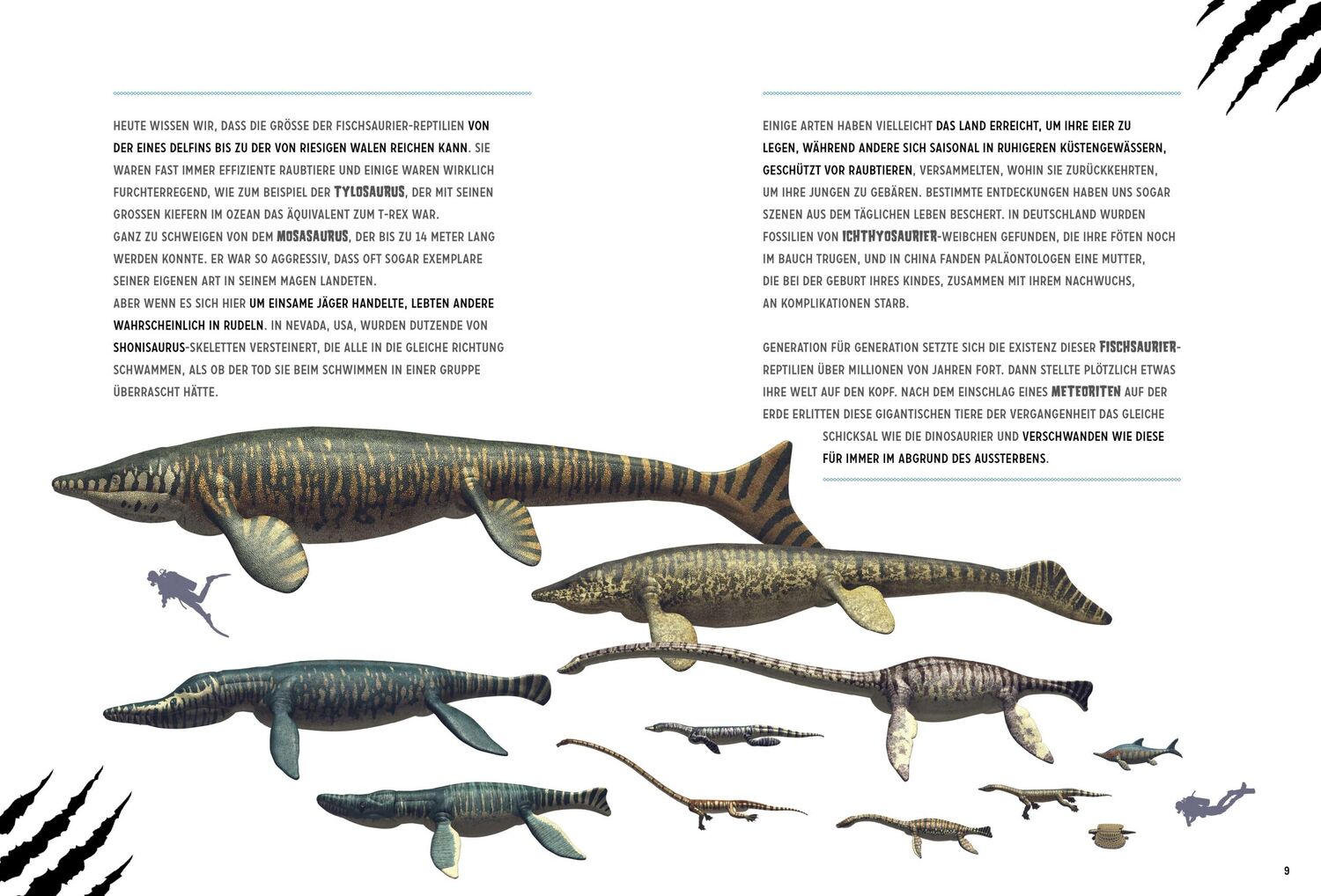 Bild: 9788863125993 | Wasserreptilien des Dinosaurierzeitalters | Giuseppe Brillante (u. a.)