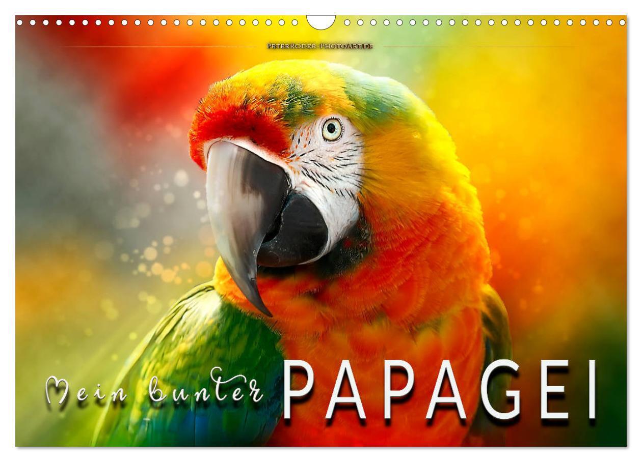 Cover: 9783675570580 | Mein bunter Papagei (Wandkalender 2024 DIN A3 quer), CALVENDO...