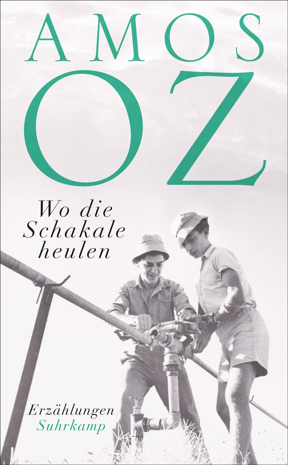 Cover: 9783518469699 | Wo die Schakale heulen | Erzählungen | Amos Oz | Taschenbuch | 319 S.