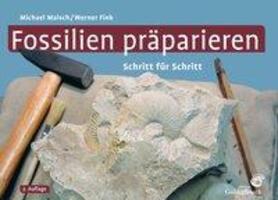 Cover: 9783494017174 | Fossilien präparieren | Schritt für Schritt | Michael Maisch (u. a.)