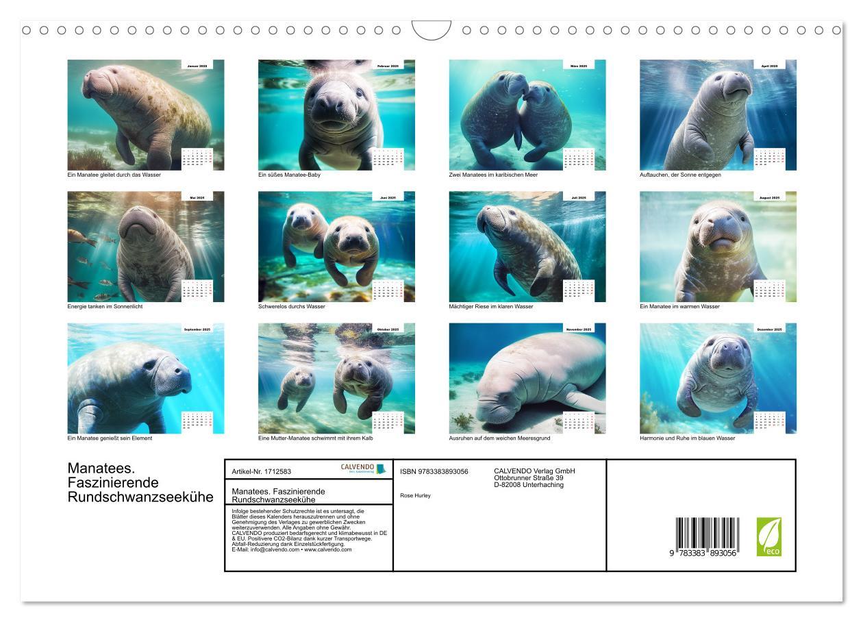 Bild: 9783383893056 | Manatees. Faszinierende Rundschwanzseekühe (Wandkalender 2025 DIN...