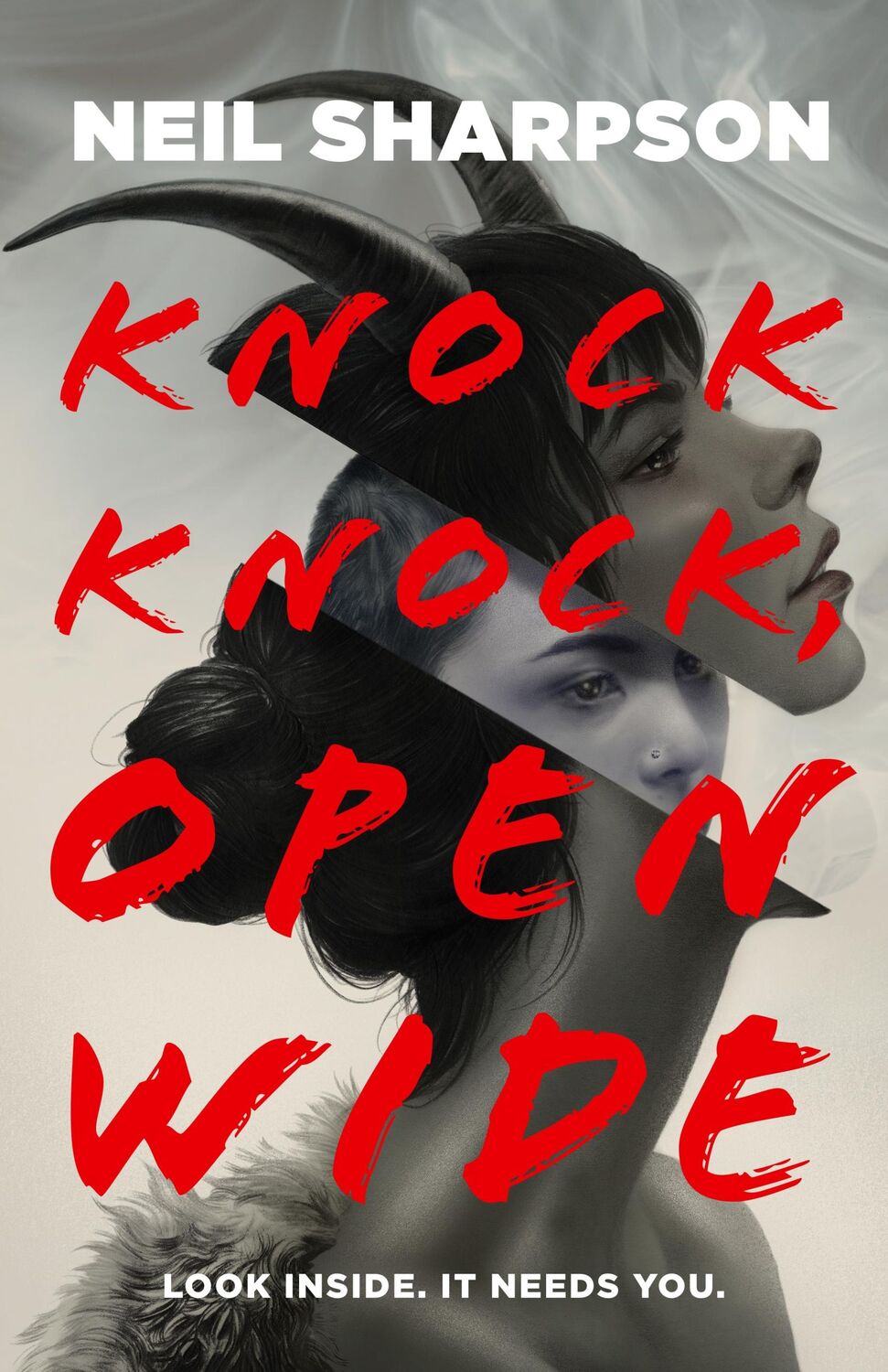 Autor: 9781250785428 | Knock Knock, Open Wide | Neil Sharpson | Buch | Gebunden | Englisch