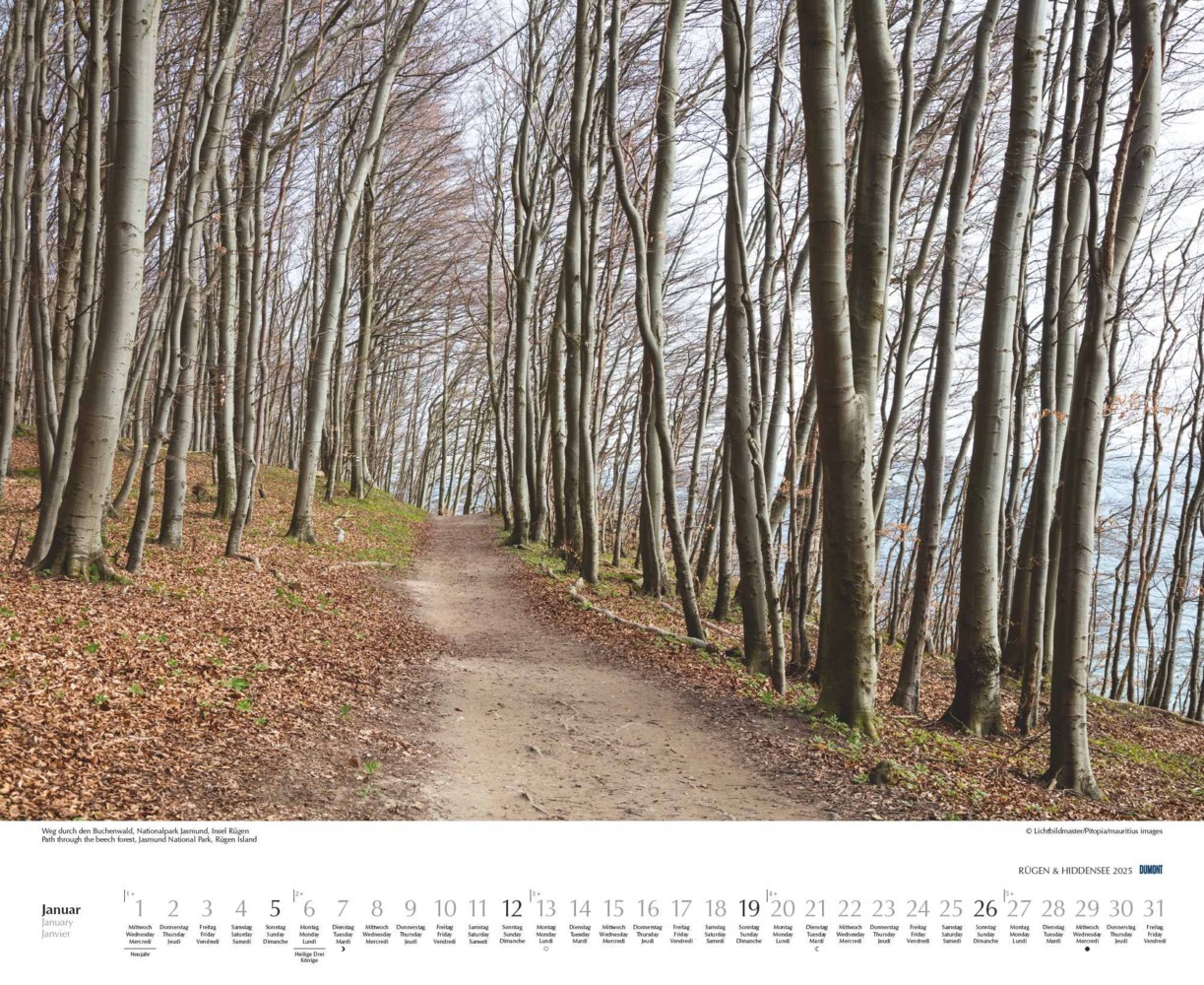 Bild: 4250809652726 | DUMONT - Rügen &amp; Hiddensee 2025 Wandkalender, 52x42,5cm,...