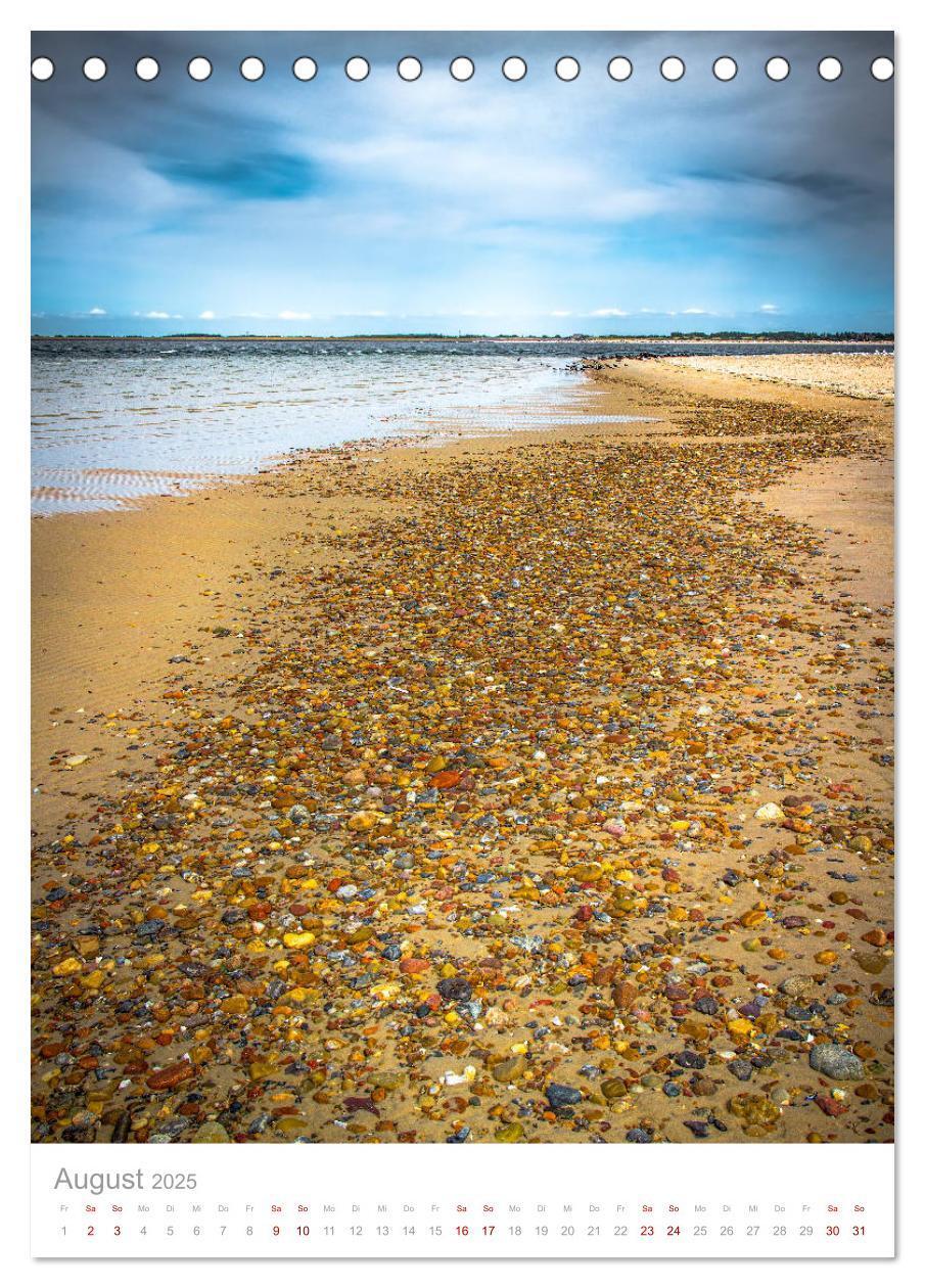 Bild: 9783435960606 | Amrum - Das Gesicht der Nordsee (Tischkalender 2025 DIN A5 hoch),...