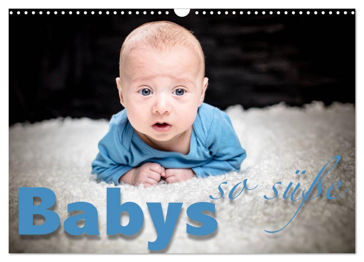 Cover: 9783383310607 | Babys - so süße (Wandkalender 2024 DIN A3 quer), CALVENDO...