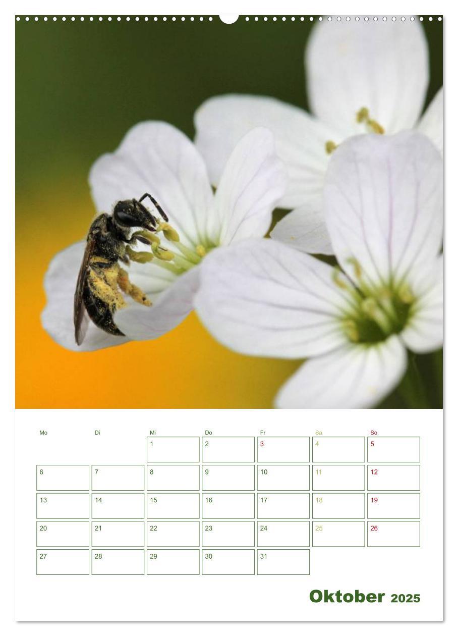 Bild: 9783457030011 | Bienen-Terminplaner 2025 (Wandkalender 2025 DIN A2 hoch), CALVENDO...