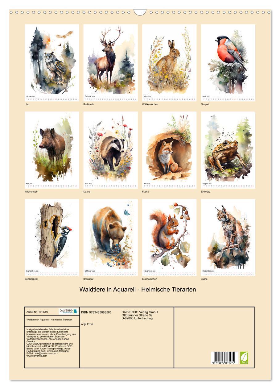 Bild: 9783435883585 | Waldtiere in Aquarell - Heimische Tierarten (Wandkalender 2025 DIN...